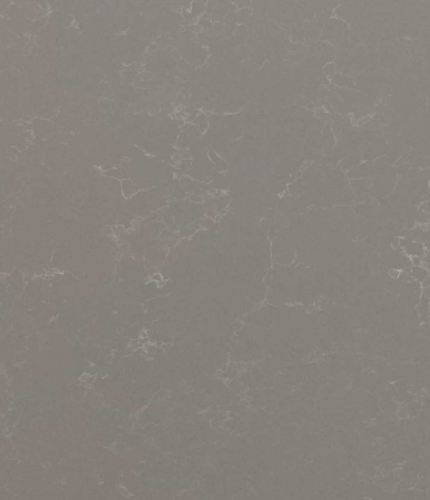 Concrete Jungle- Model# CA2402