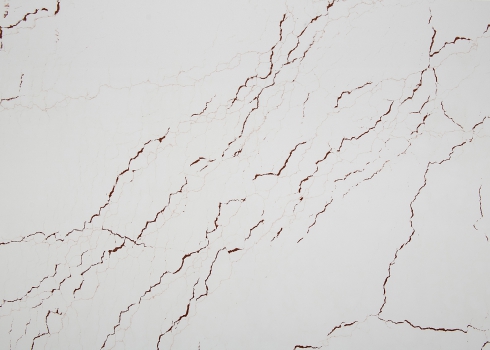 Amis - #CA6202 (Brown)